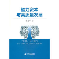 智力资本与高质量发展
