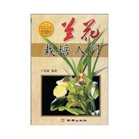 兰花栽培入门