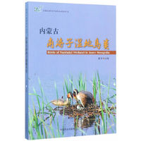 内蒙古南海子湿地鸟类