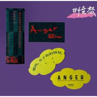 愤怒：一部关于情绪的冲突史