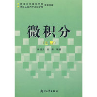 微积分(上册)