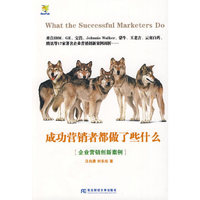 成功营销者都做了些什么：企业营销创新案例（经管畅销 ）