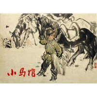小马倌(精)