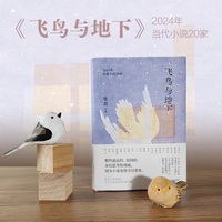 飞鸟与地下：2024年短篇小说20家