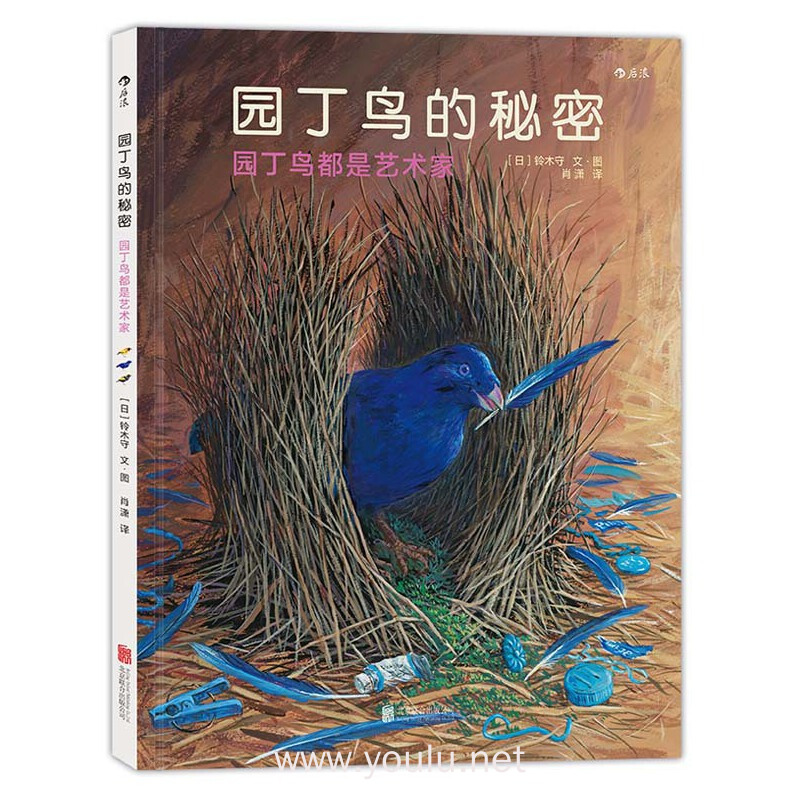 园丁鸟的秘密-园丁鸟都是艺术家