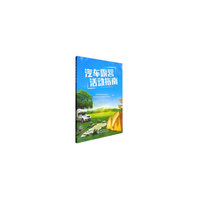 汽车露营活动指南