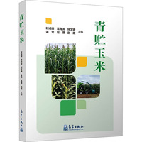 青贮玉米