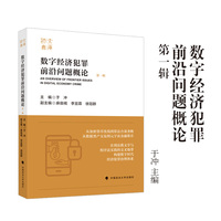数字经济犯罪前沿问题概论 于冲