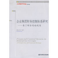 企业集团财务控制体系研究(三友会计9)