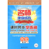 名师伴你成长系列丛书 课时同步学练测 高中历史必修3 配人教版