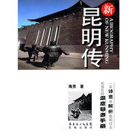 新昆明传