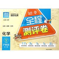 化学(9年级全1册沪教版)/初中全程测评卷