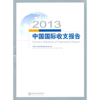 2013中国国际收支报告