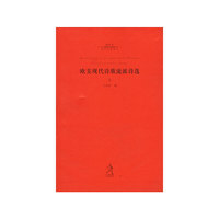 20世纪世界诗歌译丛第四辑--欧美现代诗歌流派诗选（上中下）