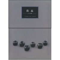 洪磊(今日艺术家丛书)