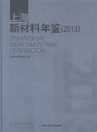 上海新材料年鉴：2013
