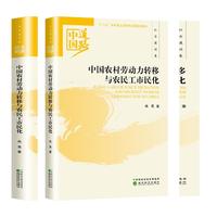 中国农村劳动力转移与农民工市民化——社会建设卷