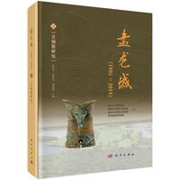 盘龙城（1995~2019）（五）：青铜器研究