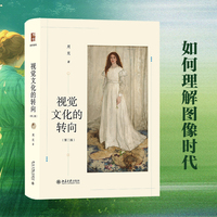 视觉文化的转向(第二版)周宪著 系统研究视觉文化的学术专著 北京大学出版社