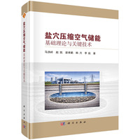 盐穴压缩空气储能基础理论与关键技术