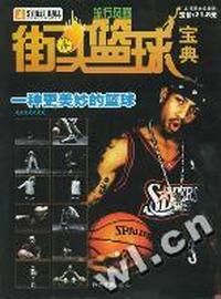 街头篮球宝典(附1VCD)