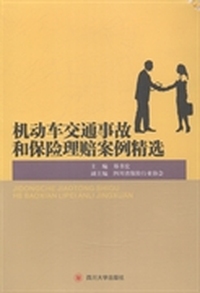 机动车交通事故和保险理赔案例精选
