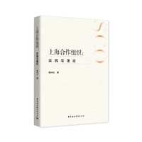 上海合作组织：实践与理论