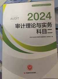 2024审计理论与实务 科目二