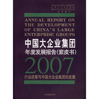 &中国大企业集团年度发展报告.紫皮书(2007)