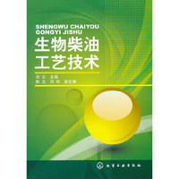 生物柴油工艺技术