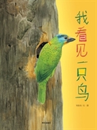 我看见一只鸟