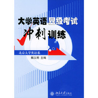 大学英语四级考试冲刺训练