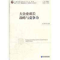 大企业成长战略与竞争力