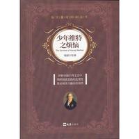 少年维特之烦恼
