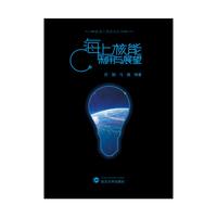 海上核能利用与展望
