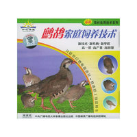 鹧鸪家庭饲养技术（VCD）