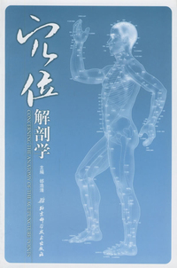 穴位解剖学