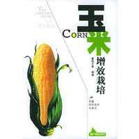 玉米增效栽培