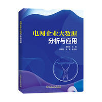 电网企业大数据分析与应用