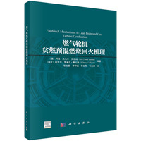 燃气轮机贫燃预混燃烧回火机理9787030847768张文普科学出版社