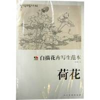 荷花-白描花卉写生范本