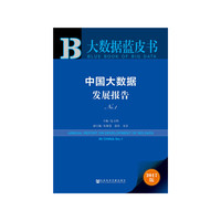 中国大数据发展报告-No.1-2017版