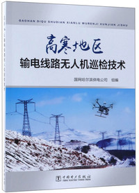 可再生能源发电集群技术与实践