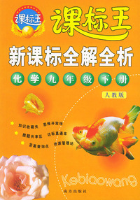 新课标全解全析·化学九年级下册（人教版）——课标王系列