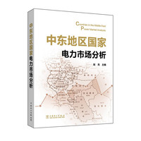 中东地区国家电力市场分析
