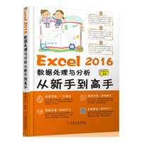 Excel 2016数据处理与分析从新手到高手