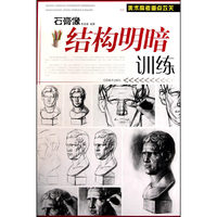石膏像结构明暗训练-美术高考重点攻关