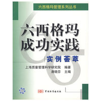 六西格玛成功实践(实例荟萃)/六西格玛管理系列丛书