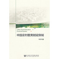 中国农村教育财政体制