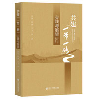 共建“一带一路”：实践与展望